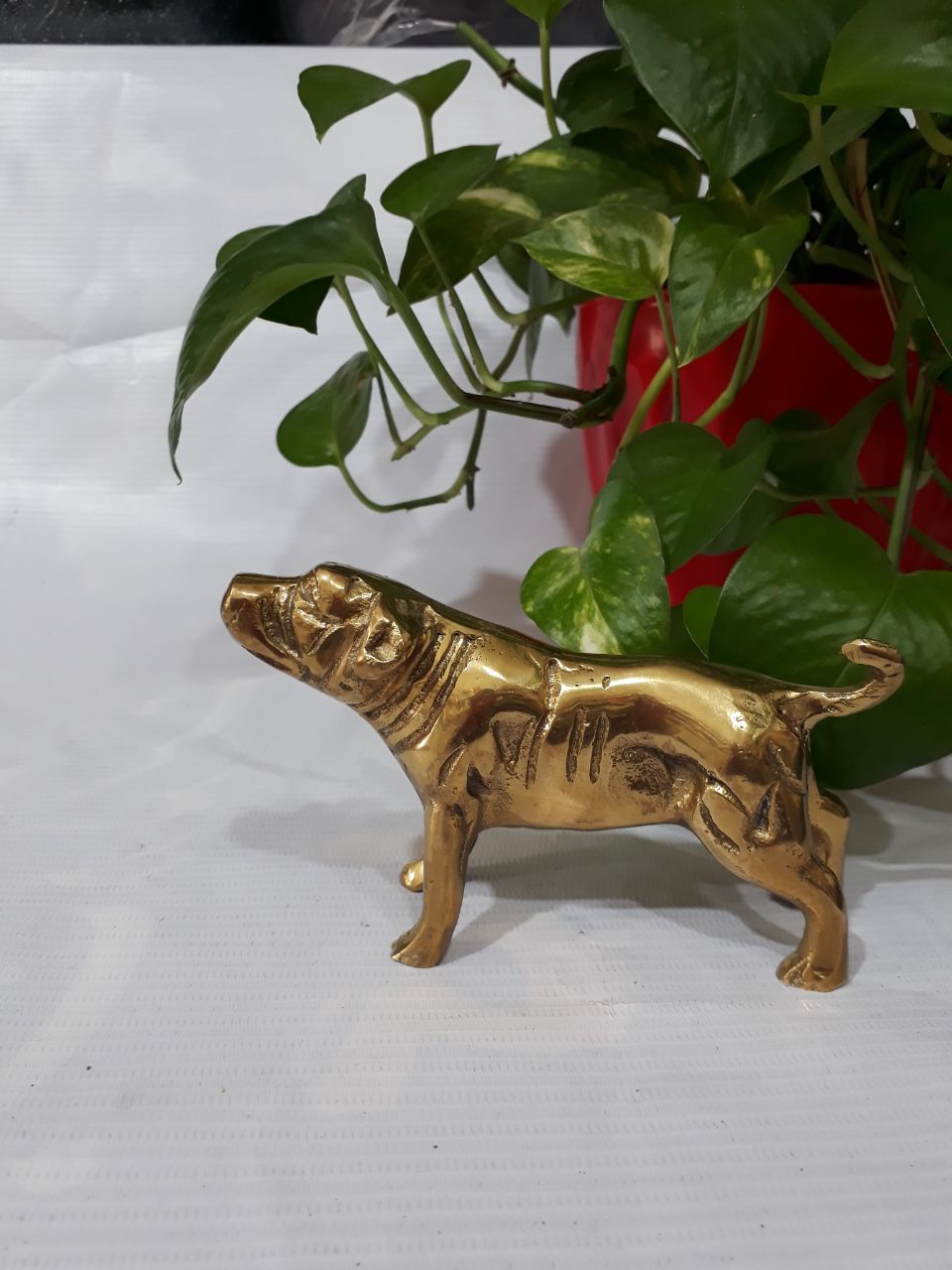 مجسمه سگ دکوری برنز