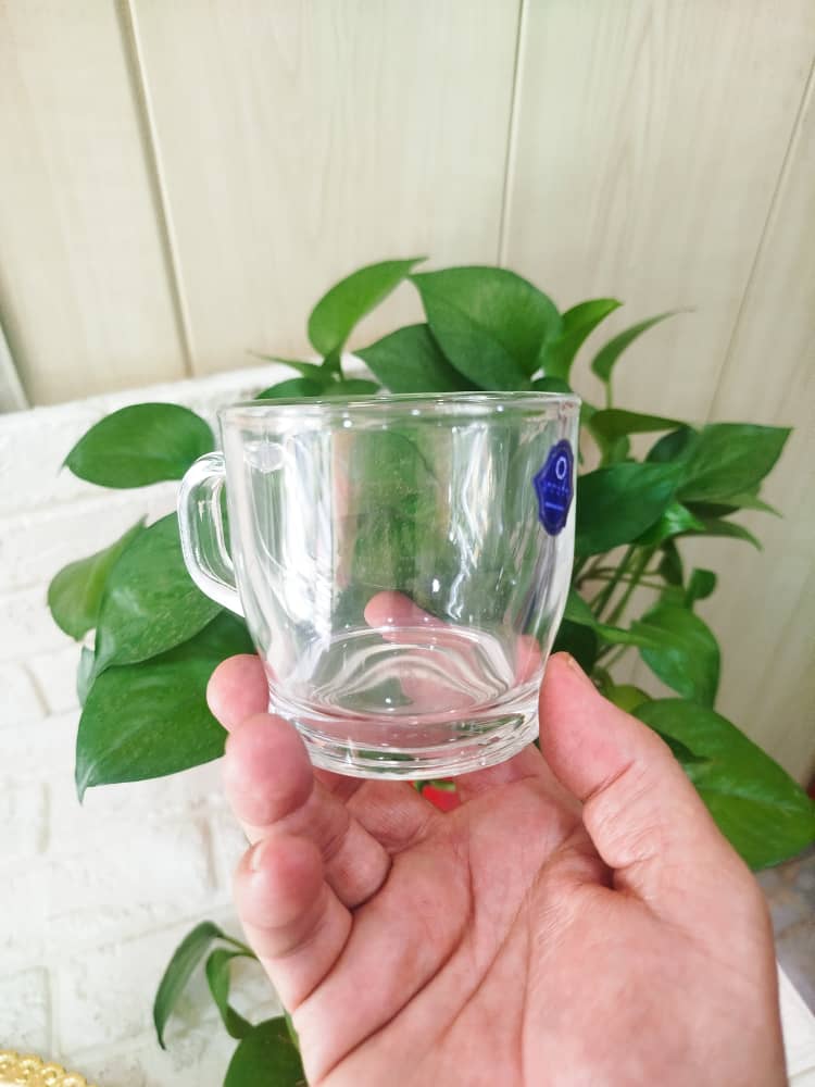 فنجان ویلستر 481