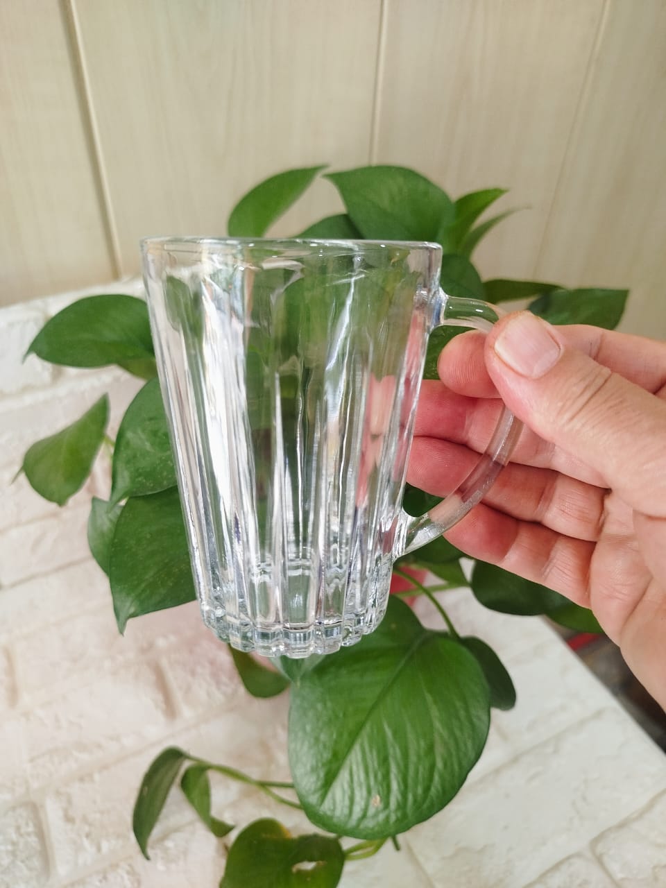 لیوان دسته دار پیانو 6عددی